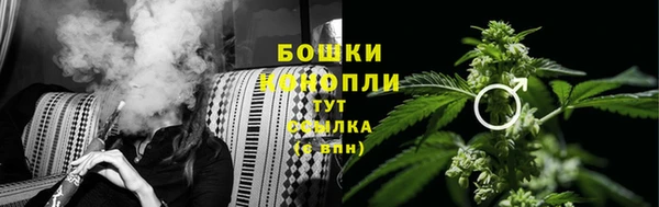 экстази Богданович